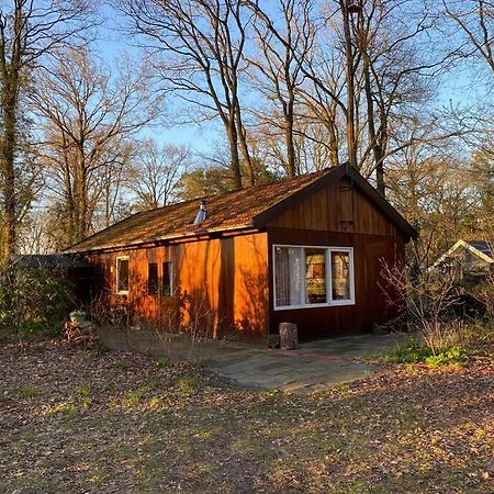 Vila Basic Natuurhuisje Ommen/Beerze Exteriér fotografie