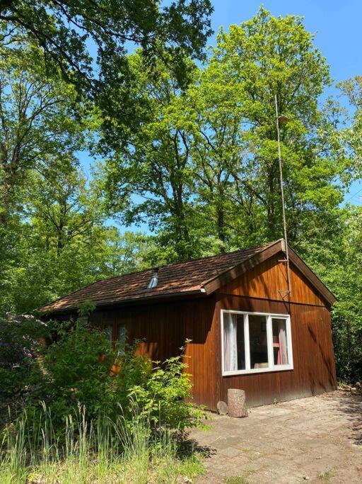Vila Basic Natuurhuisje Ommen/Beerze Exteriér fotografie