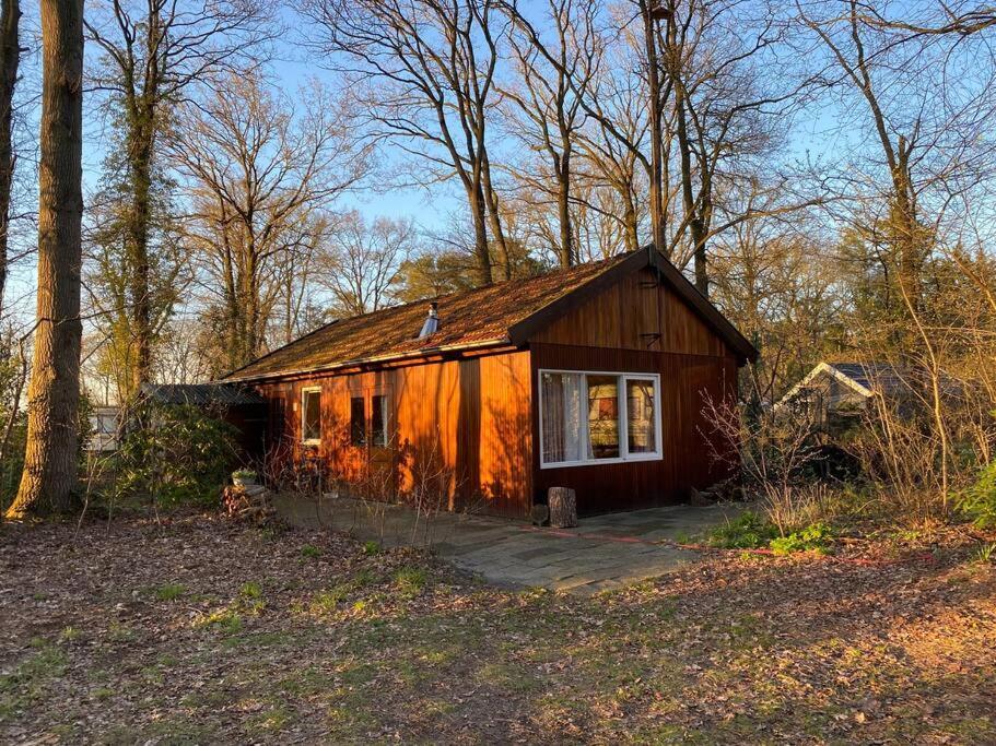 Vila Basic Natuurhuisje Ommen/Beerze Exteriér fotografie