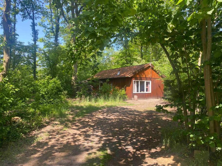 Vila Basic Natuurhuisje Ommen/Beerze Exteriér fotografie